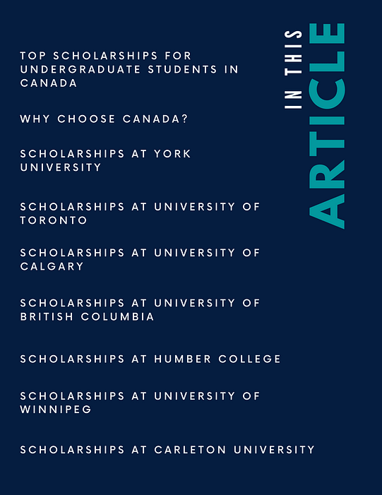 Africa Blog Infographic Contents